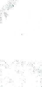 n1.png