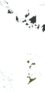 o1.png